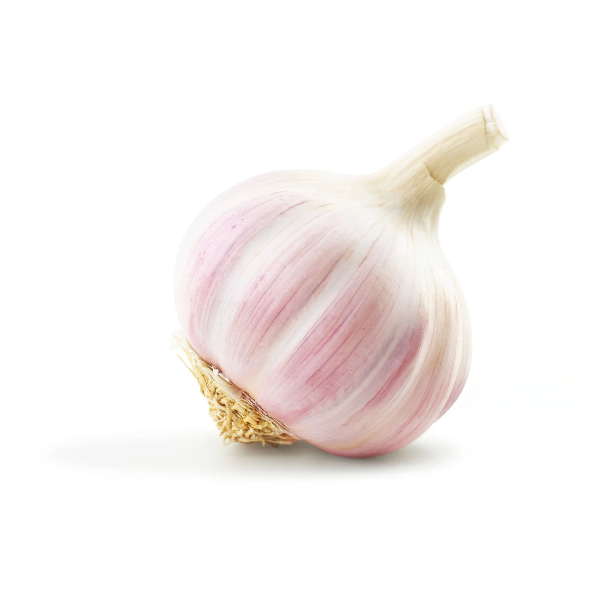 Tête d’ail rose sur fond blanc — ingrédient typique de la cuisine provençale.